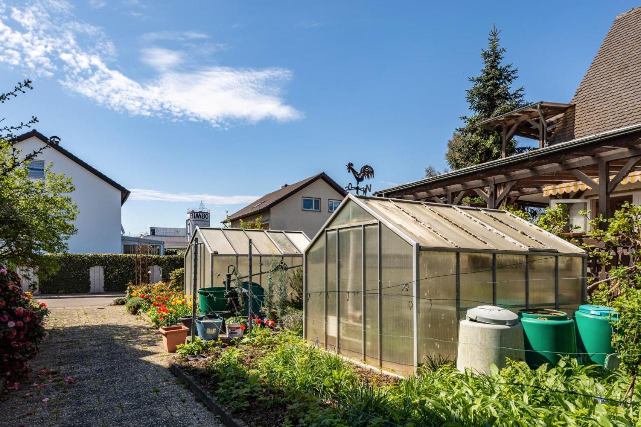 Ferienwohnung Trixi Sexau Exterior photo